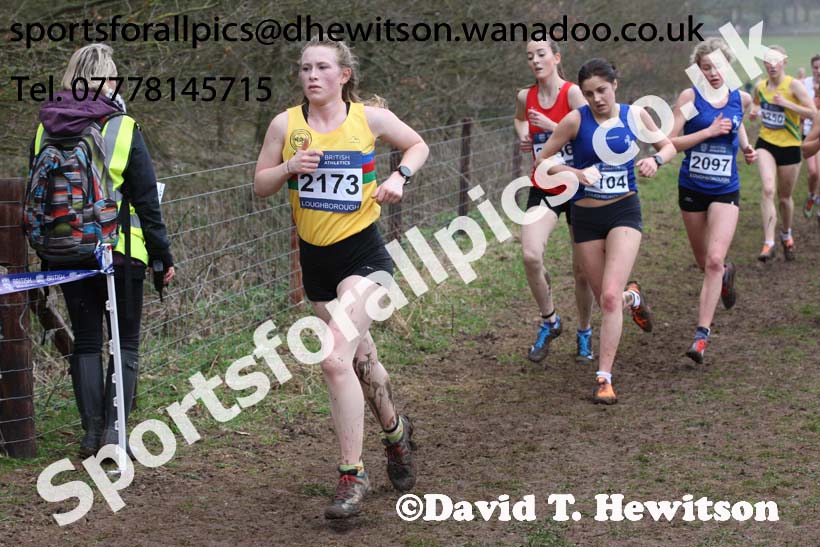 Womens under-17s Inter Counties Cross Country, Prestwold Hall, Loughborough. Photo: David T. Hewitson/Sports for All Pics